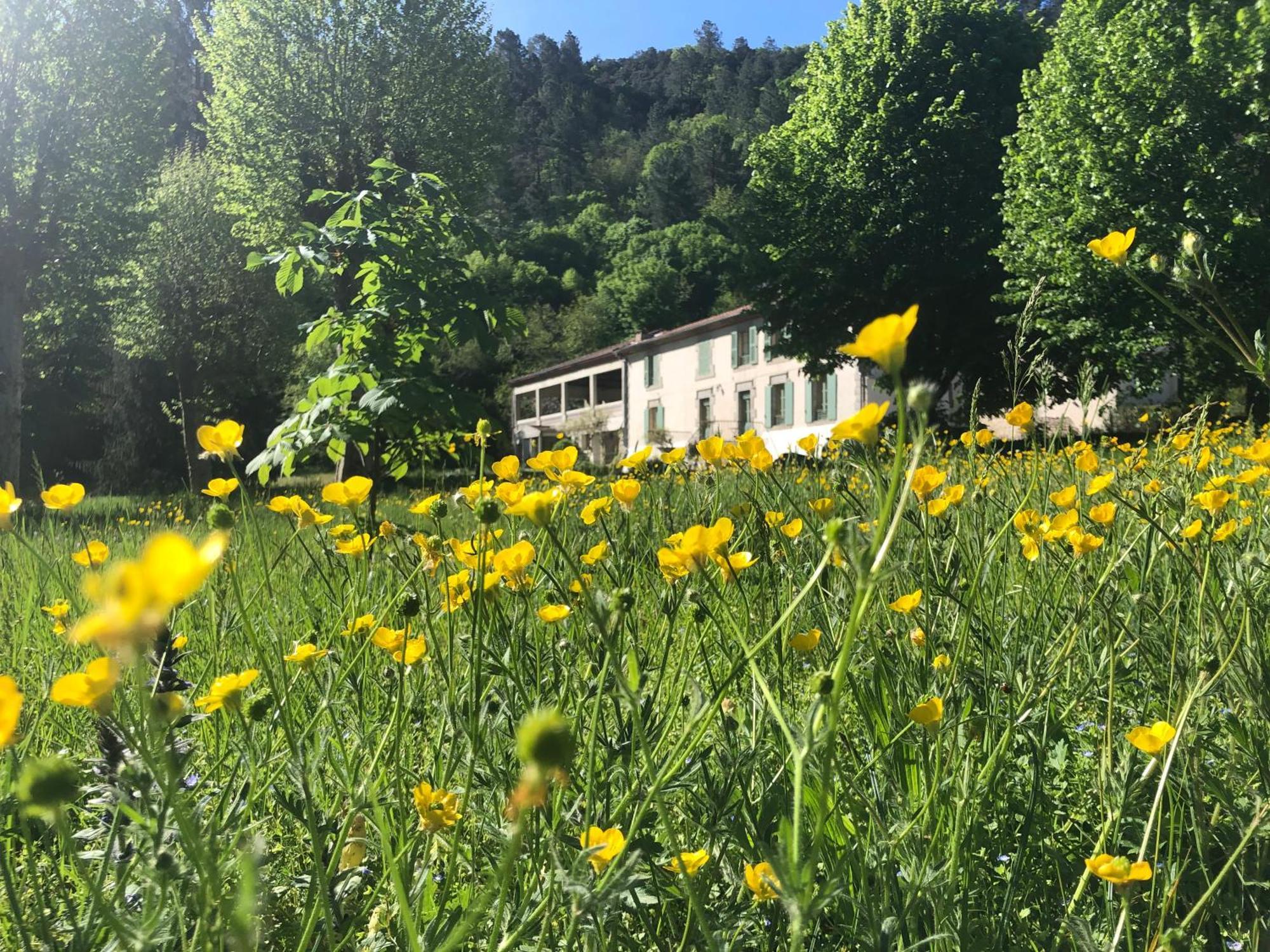 Chateau Du Fraissinet, 6 Gites Sleeping 2-8 Guests, Pool And River On Site La Tronche  Exterior foto